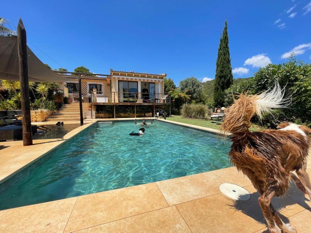 El Paraiso De Los Perros Polop Eksteriør billede