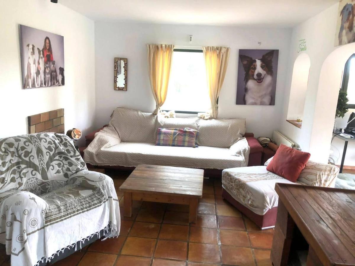 El Paraiso De Los Perros Polop Eksteriør billede