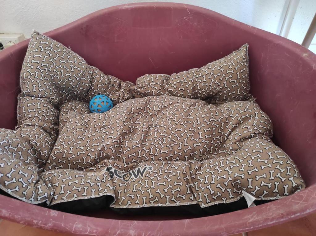 El Paraiso De Los Perros Polop Eksteriør billede
